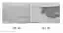 Fig. 06 - CERVICAL CANCER TESTING METHOD AND TEST REAGENT USED THEREFOR