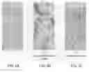 Fig. 07 - CERVICAL CANCER TESTING METHOD AND TEST REAGENT USED THEREFOR