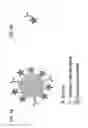 Fig. 06 - PLASMONIC NANOPARTICLES AND LSPR-BASED ASSAYS