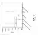 Fig. 02 - Methods for identification of pregnancy failure