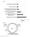 Fig. 22 - Methods for enriching glycopeptides for global analysis of glycoproteins