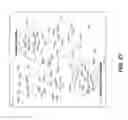 Fig. 22 - Methods and systems of proteome analysis and imaging