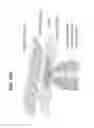 Fig. 33 - Methods and systems of proteome analysis and imaging