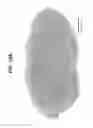 Fig. 46 - Methods and systems of proteome analysis and imaging