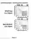 Fig. 09 - Mass defect-based multiplex dimethyl pyrimidinyl ornithine (DiPyrO) tags for high-throughput quantitative proteomics and peptidomics