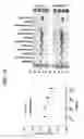 Fig. 06 - Role of citrullination in diagnosing diseases