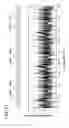 Fig. 19 - Optical element, and optical element-equipped article
