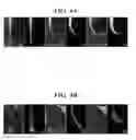 Fig. 08 - Flexible biodegradable polymeric step-index optical fiber