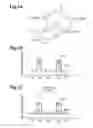 Fig. 02 - Coupled multi-core optical fiber