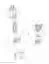 Fig. 02 - Multi-ferrule connector