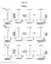 Fig. 16 - Zoom lens and imaging apparatus