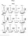 Fig. 09 - Zoom lens and imaging apparatus