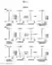 Fig. 12 - Zoom lens and imaging apparatus