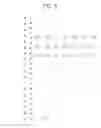 Fig. 09 - Projection optical system and head-up display device