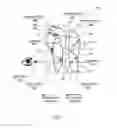 Fig. 05 - Apparatus for optical see-through head mounted display with mutual occlusion and opaqueness control capability
