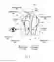 Fig. 07 - Apparatus for optical see-through head mounted display with mutual occlusion and opaqueness control capability