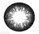 Fig. 01 - Colored contact lenses and method of making the same