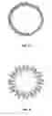 Fig. 03 - Colored contact lenses and method of making the same