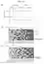 Fig. 12 - LIQUID CRYSTAL DISPLAY PANEL, AND LIQUID CRYSTAL DISPLAY DEVICE