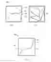 Fig. 04 - Electrochromic structure and method of separating electrochromic structure