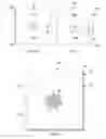Fig. 04 - Moisture resistant electrochromic device