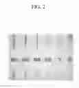 Fig. 03 - Photosensitive resin composition and color filter using the same