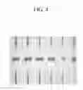 Fig. 05 - Photosensitive resin composition and color filter using the same