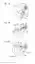 Fig. 08 - Powder detection device and development device