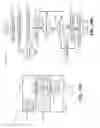 Fig. 20 - Sensory enhanced augmented reality and virtual reality device