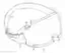 Fig. 01 - Multimodal eye tracking