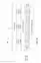 Fig. 48 - Selectively adhered resistive force sensor