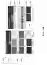 Fig. 32 - METHODS, APPARATUSES, AND SYSTEMS FOR MATERIAL COATING SELECTION OPERATIONS