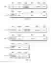 Fig. 07 - Prefetch insensitive transactional memory