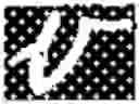 Fig. 294 - Arabic script analysis with connection points