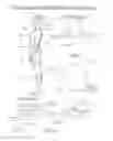 Fig. 09 - Systems and methods for facilitating mind-body-emotion state self-adjustment and functional skills development by way of biofeedback and environmental monitoring