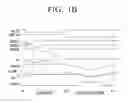 Fig. 03 - Display panel and driving method of display panel