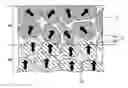 Fig. 01 - R-T-B based sintered magnet