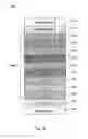Fig. 09 - Photovoltaic device encapsulation