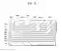 Fig. 22 - Stacked multilayer structure and manufacturing method thereof