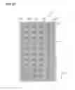 Fig. 22 - Light-emitting module