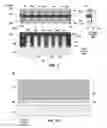 Fig. 02 - Two dimension material fin sidewall