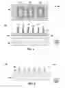 Fig. 04 - Two dimension material fin sidewall