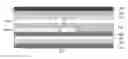 Fig. 01 - Organic light-emitting diode having charge generation layer and manufacturing method thereof and display device