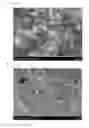 Fig. 06 - Anode having double-protection layer formed thereon for lithium secondary battery, and lithium secondary battery comprising same