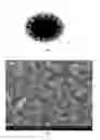 Fig. 02 - Lithium-ion rechargeable battery negative electrode active material and preparation method thereof, lithium-ion rechargeable battery negative electrode plate, and lithium-ion rechargeable battery