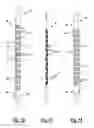 Fig. 06 - Interposer assembly and method