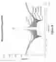 Fig. 09 - Radio frequency amplifier