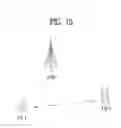 Fig. 15 - Method and terminal for transmitting reference signal in D2D communication