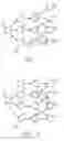 Fig. 02 - Deterministic distributed network coding