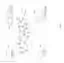 Fig. 08 - Personal communication data management in multilingual mobile device